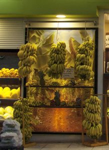 bananas